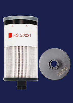디젤 엔진 중요한 산업 설비 필터 엘리멘트 FS20021 EP20019